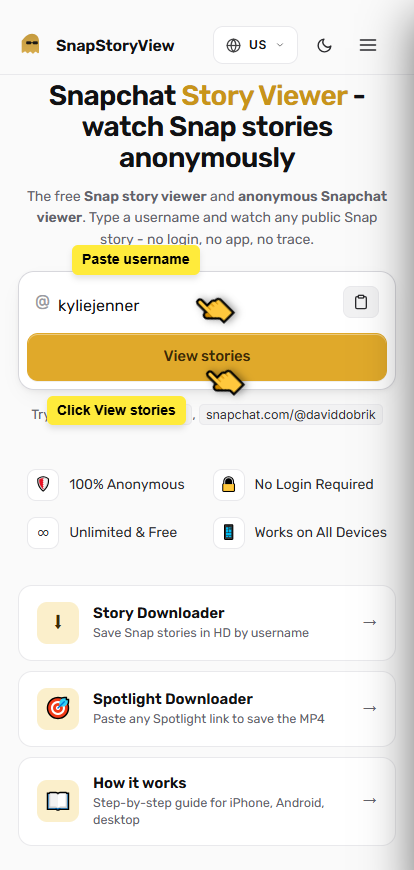 Entering username into SnapStoryView