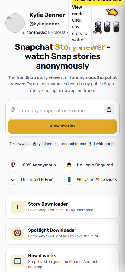 Downloading Snapchat Stories on SnapStoryView